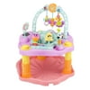 Evenflo Exersaucer Double Fun Activity Center, Pink Bumbly