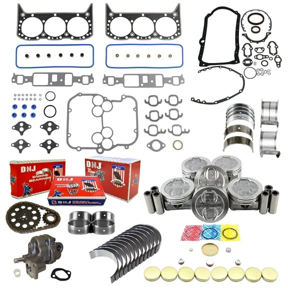 DNJ EK3127M Master Engine Rebuild Kit Fits Cars & Trucks 1994-1995 Chevrolet GMC Oldsmobile Astro Blazer Bravada Jimmy S10 S10 Blazer Safari Sonoma 4.3L OHV V6 12V 262cid VIN W