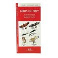 thumbnail image 4 of Pocket Naturalist Birds Of Prey, 4 of 4