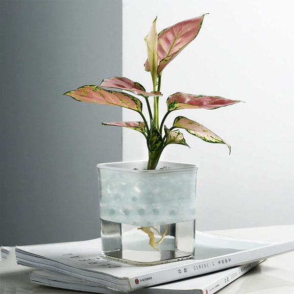 Btomtd Square Transparent Flowerpot with Automatic Water Absorption, Home Garden and Office Plant Pots, Balcony Tabletop Planter Accessory, White
