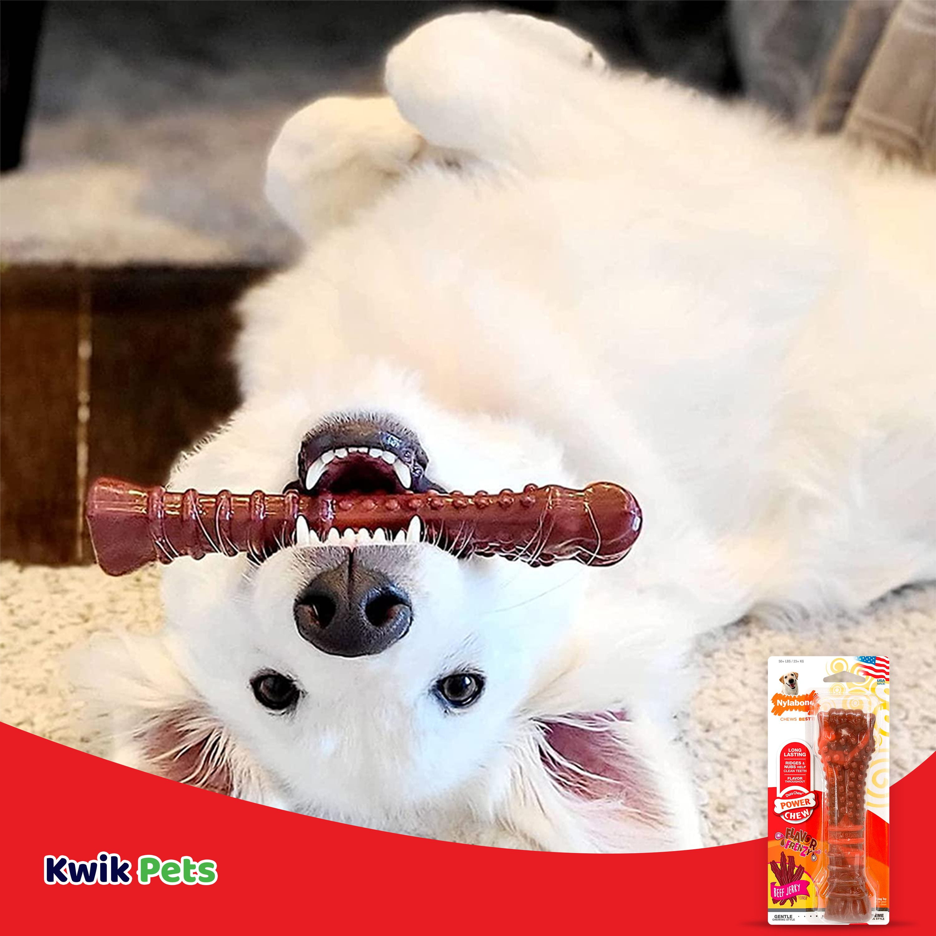 Nylabone stuffable chew toy hotsell