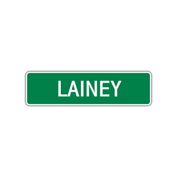 Lainey Girls Children Name Letter Printed Label Indoor Outdoor Unique Wall Plaque Decoration Aluminum Metal Sign 4"x13.5"