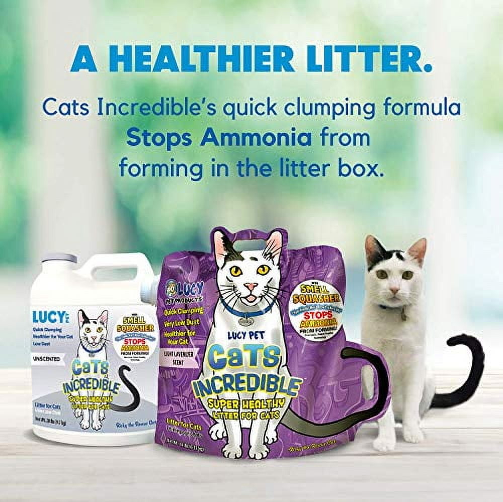 Lucy Pet Products Cats Incredible Clumping Cat Litter Unscented 20 lb