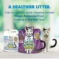 thumbnail image 3 of Lucy Pet Products Cats Incredible Clumping Cat Litter Unscented 20 lb, 3 of 3