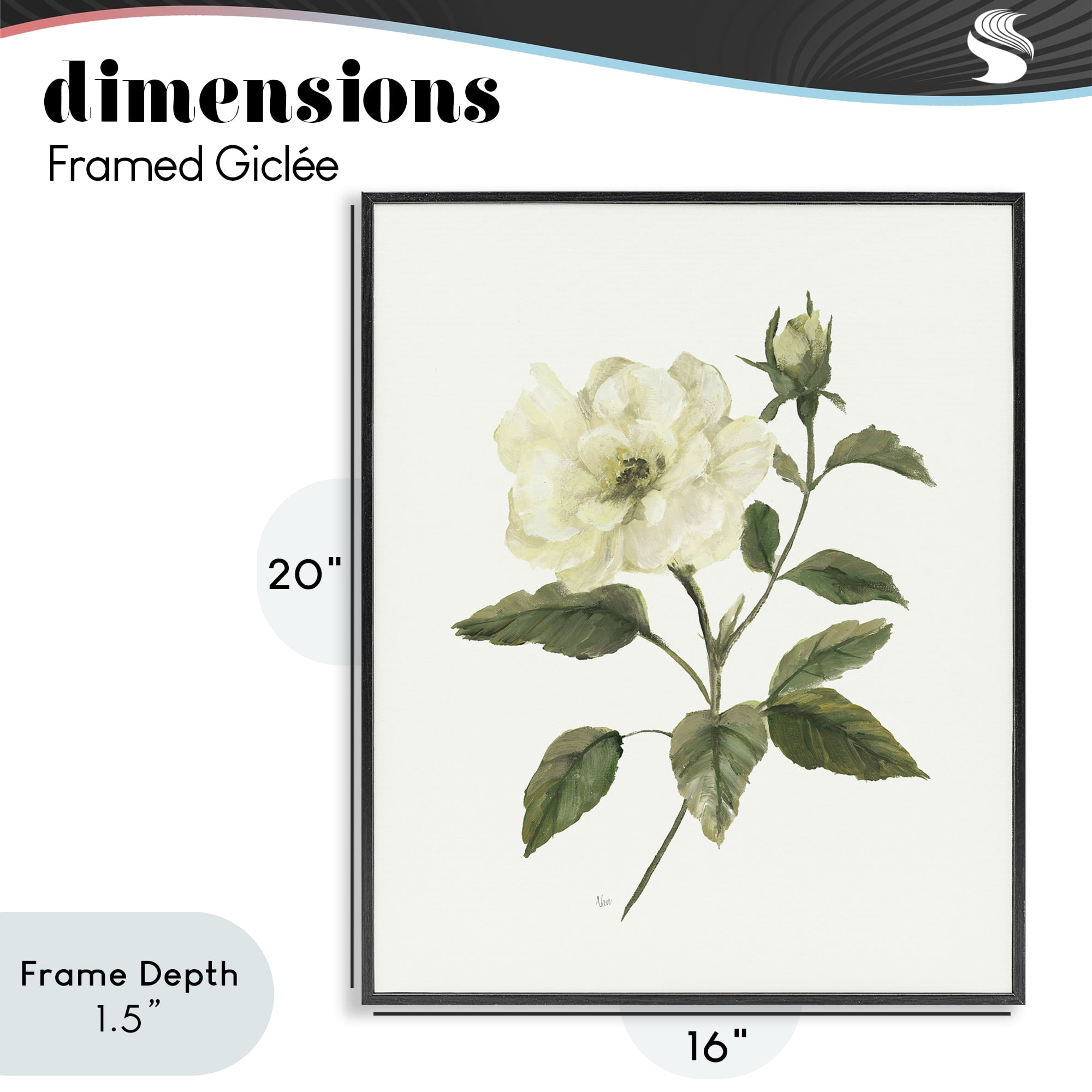 Stupell Industries Ivory Rose Bloom With Green Foliage Black Framed Giclee Art, design by Nan