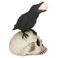 thumbnail image 3 of All Seeing Harbinger Of Doom Raven, 3 of 5