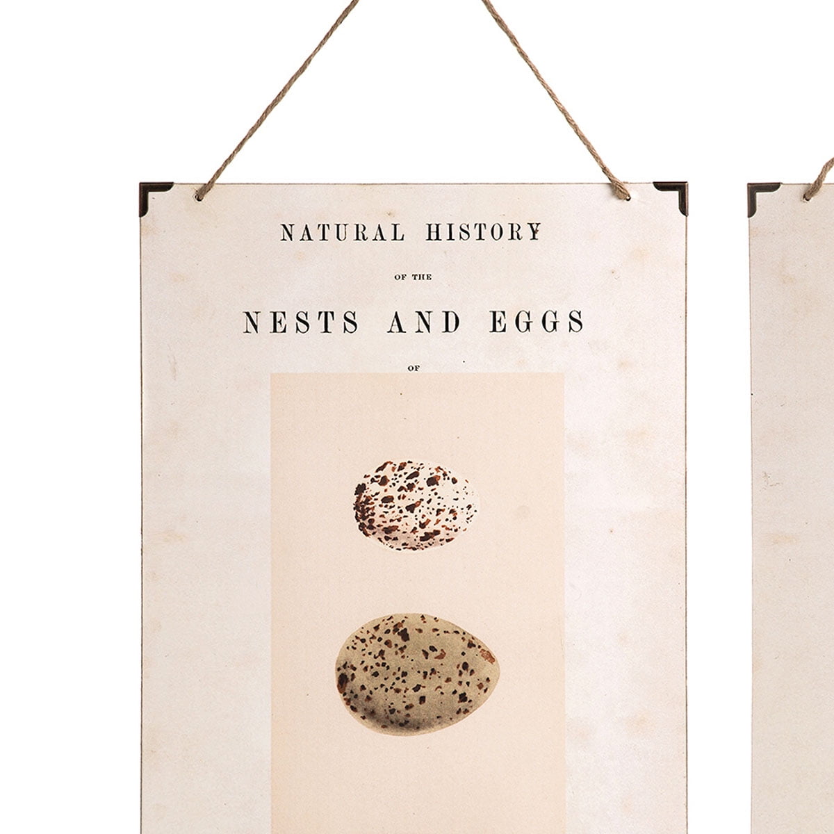 British Eggs Easter Spring Wall Art Set of 3