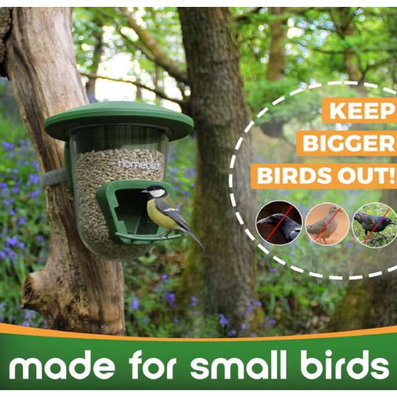 Outdoor Mountable Bird Feeder for Mounting Fences, Trees, Posts, Perches, Balcony, Walls, etc.