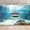 5x3FT, variant on Underwater Shark Backdrop Under The Sea World Ocean Shark Aquarium Photography Background Deep Ocean Shark Birthday Party Decorations Banner Supplies Photo Booth Props