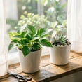 thumbnail image 4 of Lazy Person's Self Watering Water Storage Aquatic Green, 4 of 8