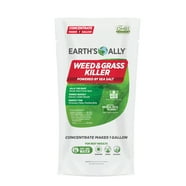 Natural Armor Weed & Grass Killer - Pet Friendly & Eco-Safe, 128-Ounce ...