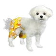 thumbnail image 2 of Pooch Outfitters Dog Swim Trunk & Bikini Collection | Extensive Selection of Comfortable Canine Swimwear and Beach Apparel | For Small, Medium, Large Dogs, 2 of 6