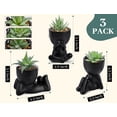 thumbnail image 3 of Set de plantas suculentas artificiales con macetas negras, 3 unidades, 3 of 6