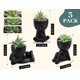 thumbnail image 3 of Set de plantas suculentas artificiales con macetas negras, 3 unidades, 3 of 6