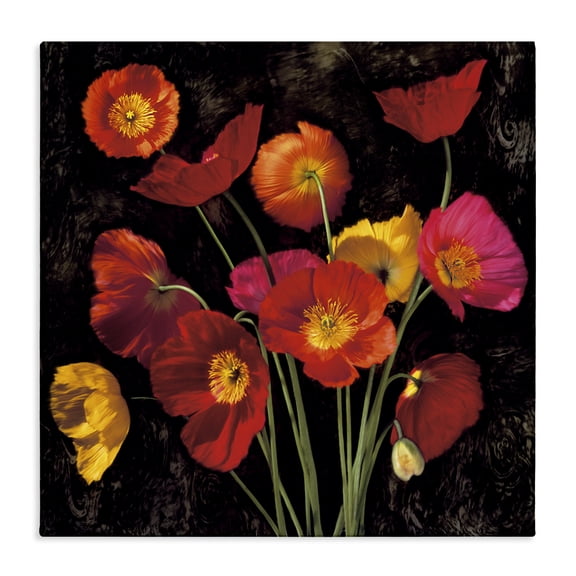 Stupell Industries French Country Red Poppies Photography Canvas Art, 24 x 24, by John Seba