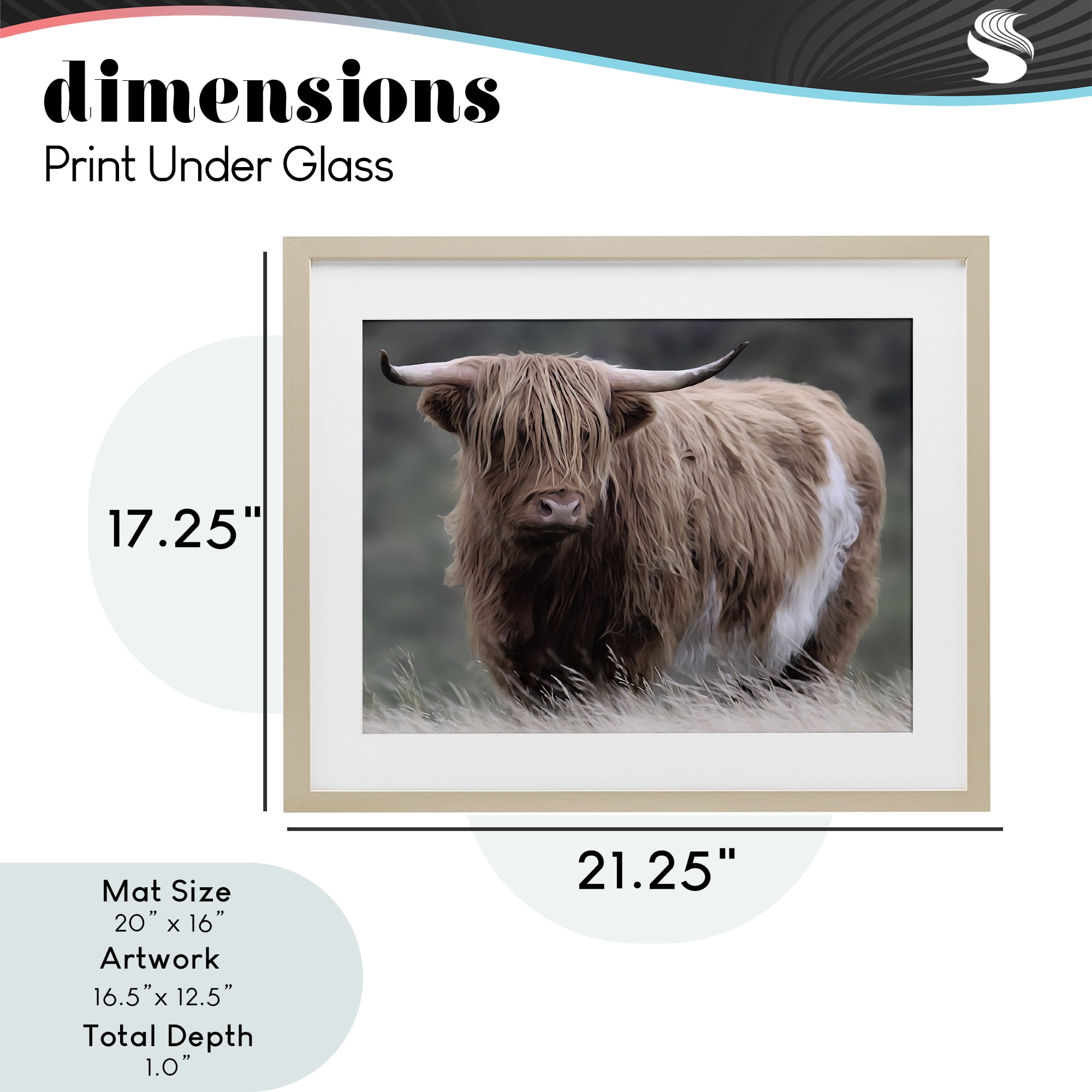 Stupell Industries Wandering Harry Highland Cattle Birch Framed Print Under Glass, design by Marcus Prime