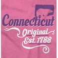 thumbnail image 2 of Connecticut Bear State Shape Filagree Women's Graphic T Shirt Tees Brisco Brands S, 2 of 6