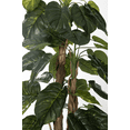 thumbnail image 3 of Vintage Home Artificial Faux 66" Tall Scindapsus Aureus And Banana Skin With Eco-Paper Planter With Eco Planter, 3 of 5