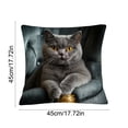 thumbnail image 3 of Tuvgenk Throw Pillow Covers Comfort Cat 18x18 in Couch Cushion Covers Durable Animals Home Decorative Body Pillow Cover with Zipper, 3 of 6