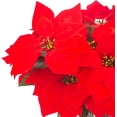 thumbnail image 4 of Lssam Artificial Poinsettia Bushes, Silk Poinsettia Flowers - 5 Heads Red Poinsettia Stems for Christmas Tree Decor, Festive Table Centerpiece Holiday Home Decoration, 4 of 7