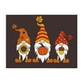 thumbnail image 4 of KLL Fall Gnomes Print Fleece Throw Blanket, Horizontal Fleece Bedding Cute Soft Blankets Comfy Fleece Flannel Plush Home Decor for Couch & Bed -60"x50", 4 of 9