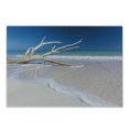 thumbnail image 1 of Cacun Cutting Board, Gentle Waves Hitting the Coastline with an Algae Covered Tree Trunk, Decorative Tempered Glass Cutting and Serving Board, in 3 Sizes, by Ambesonne, 1 of 2