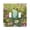 Cartoon Frog Sit in Meadow of Flower, variant on Haosy Light Switch Cover Plate 2 Gang Electrical Outlet Covers Highland Cow in Sunflowers Field Decorate Wall Plate 4.56”x4.48”