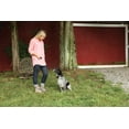 thumbnail image 5 of PetSafe Spray Commander Remote Trainer for Dogs, Waterproof, Up to 80 Yards Range, 5 of 7