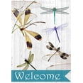 thumbnail image 2 of Allen, Kimberly 11x14 Gold Ornate Wood Framed with Double Matting Museum Art Print Titled - Welcome Dragonflies, 2 of 4