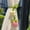 Pink Strawberry, variant on JKCCZLL 4Pcs Handmade Knitted Flower Curtain Tiebacks Decorative Floral Curtain Holdbacks Rope for Home Kitchen Supplies (Red Strawberry),Red Strawberry
