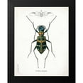 thumbnail image 2 of Babbitt, Gwendolyn 15x18 Black Modern Framed Museum Art Print Titled - Beetle I, 2 of 5