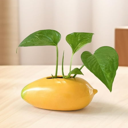 menolana Mango Shaped Ceramic Vase Plant Pot Display Minimalist Bud Vase Storage Indoor Flower Vase Propagation Vase for Dried Flowers