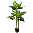 thumbnail image 2 of Northlight Wide Leaf Artificial Dieffenbachia Potted Plant - 51", 2 of 9