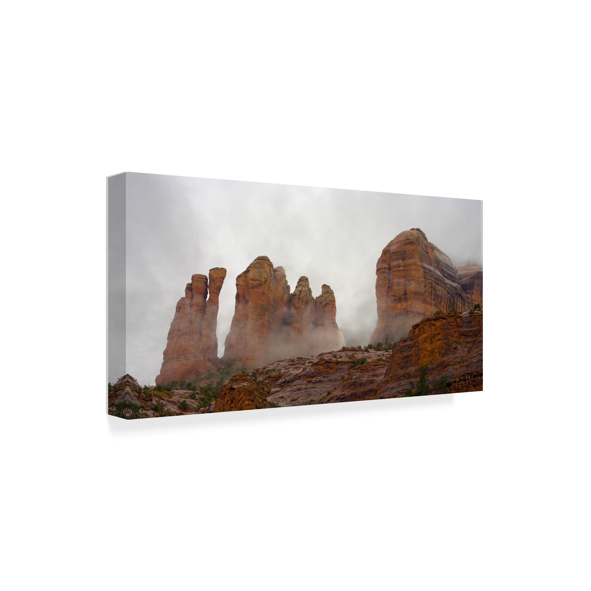 Trademark Fine Art 'Sedona Fog' Canvas Art by Janice Sullivan