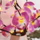 thumbnail image 3 of Guirnalda de luces LED con forma de rama de árbol de Phalaenopsis, ideal para decoración de interiores de casas, festivales navideños y fiestas., 3 of 14