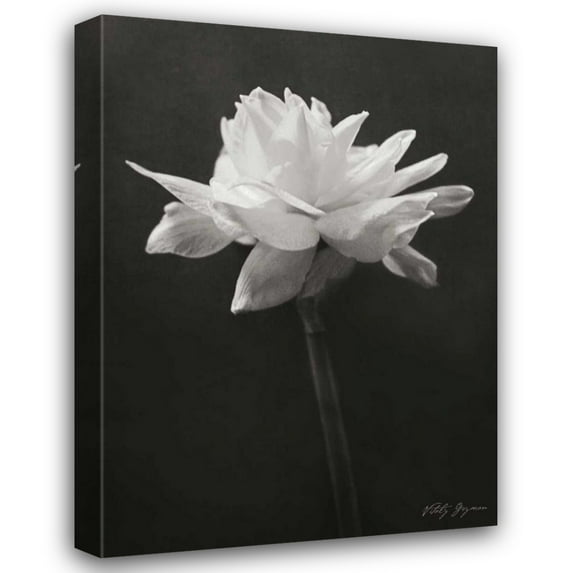 Vitaly Geyman 33x44 Gallery Wrapped Canvas Wall Art Titled - Nostalgia