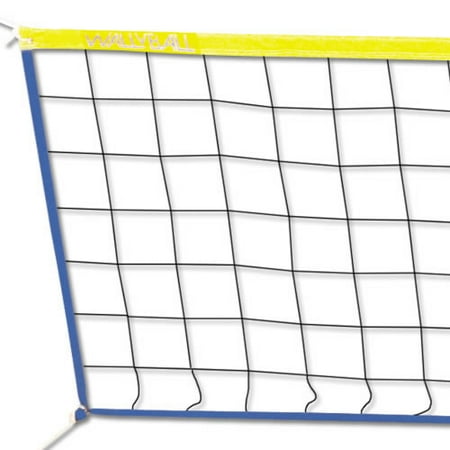 Wallyball Net