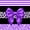Black Purple, variant on Erosebridal Vintage Fashion Lines Bow Twin Quilt Set for Women, Cartoon Stars Twin Coverlet Set, 2-Piece