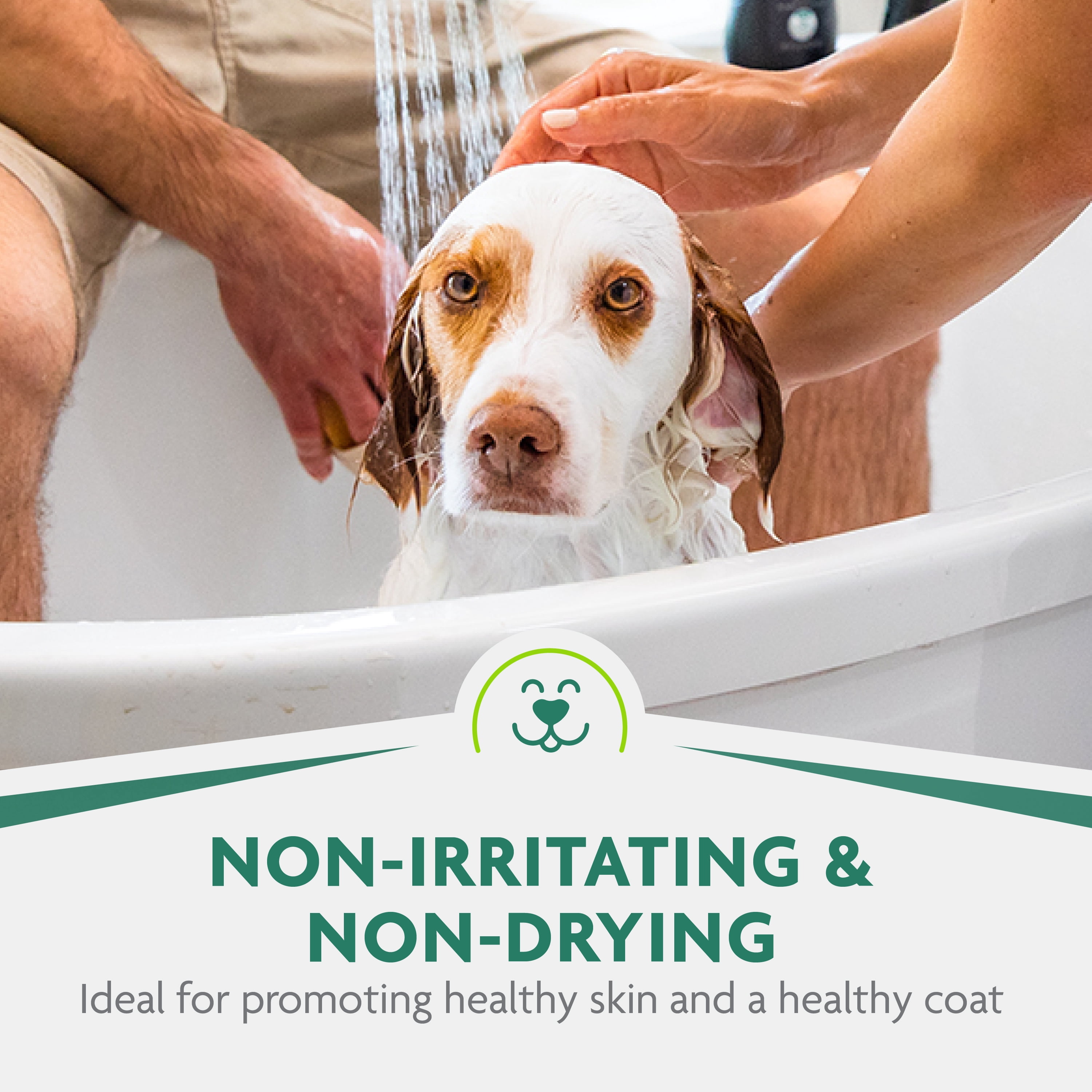 FURminator deShedding Ultra Premium Shampoo For Dogs, Includes Pump, 1 gal