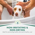 thumbnail image 5 of FURminator deShedding Ultra Premium Shampoo For Dogs, Includes Pump, 1 gal, 5 of 7