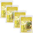 thumbnail image 1 of Scentsationals Cire Fondante, Cubes de Cire Parfum Fort - Chèvrefeuille Ananas - Cire Fondante Parfumée Longue Durée pour Réchauffer, 2.5 oz (Lot de 4), 1 of 4