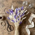 thumbnail image 6 of 60 Pcs Fall Dried Flower Bouquet,17.72 Inch Natural Dried Pampas Grass Fall Flower Bouquets for Autumn Vase Filler | Fall Decorations Bunny Tail Grass for Table Wedding Decor, 6 of 7