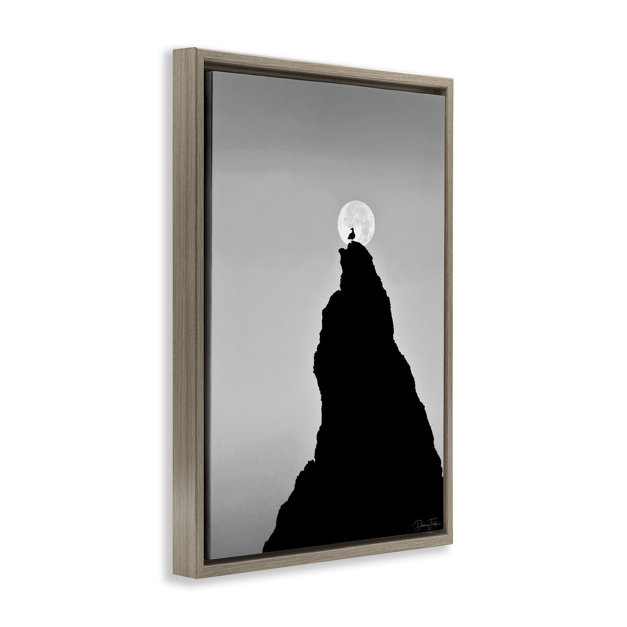 Stupell Industries Bird Silhouette on Peak Landscape Photography Brown Floater Framed Art Print Wall Art, 17 x 25