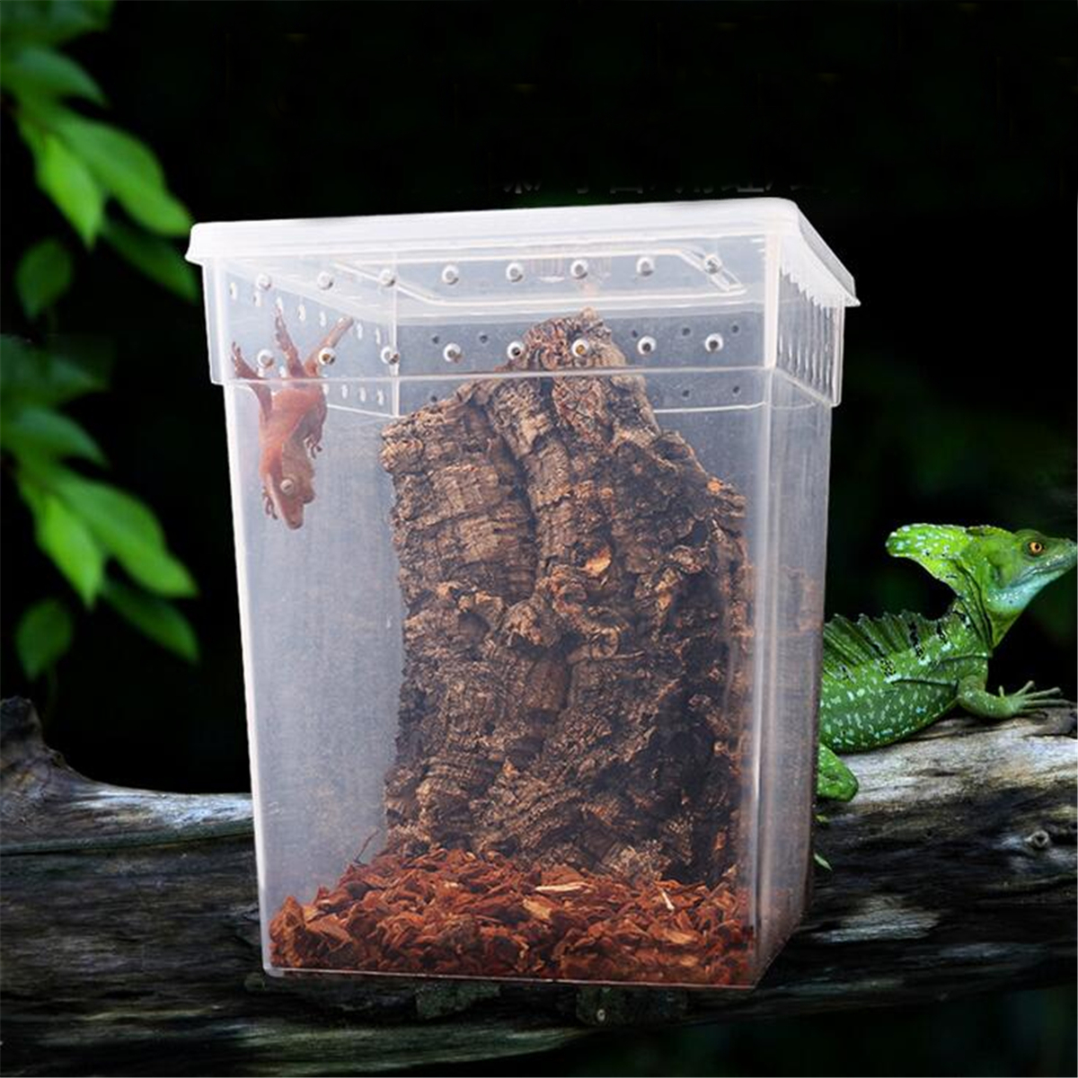 Feeding Box Transparent Reptile Tank Cage Hatching Container for Spider ...