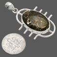 thumbnail image 2 of Natural Turtella Jasper - USA 925 Sterling Silver Pendant Jewelry P-1271 SDP148329, 2 of 5