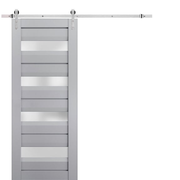 Sturdy Barn Door Frosted Glass | Veregio 7455 Matte Grey | 6.6FT Rail Hangers Heavy Hardware Set | Solid Panel Interior Doors-36" x 96"-Silver Rail