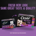 thumbnail image 4 of Cesar Loaf in Sauce Poultry and Beef Flavors Adult Wet Dog Food Variety Pack, 3.5 oz Trays, 36 Ct., 4 of 14