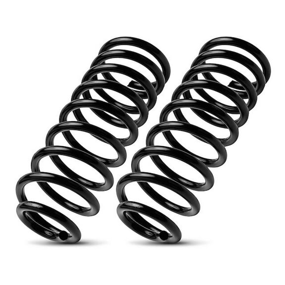 Rear Coil Spring Set 2 - Compatible with 1982 - 1985, 1989 - 1998 Ford Mustang 1983 1984 1990 1991 1992 1993 1994 1995 1996 1997