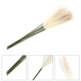 thumbnail image 4 of 10 unids LifeLike Dry Flowers Craft Fake Reed Office Office Secd Flowers Bouquet, 4 of 5