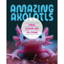 Hello, Frog: Touch, Feel, and Reveal, (Board Book) - Walmart.com